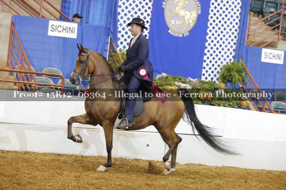 Proof Number 15R12_06364