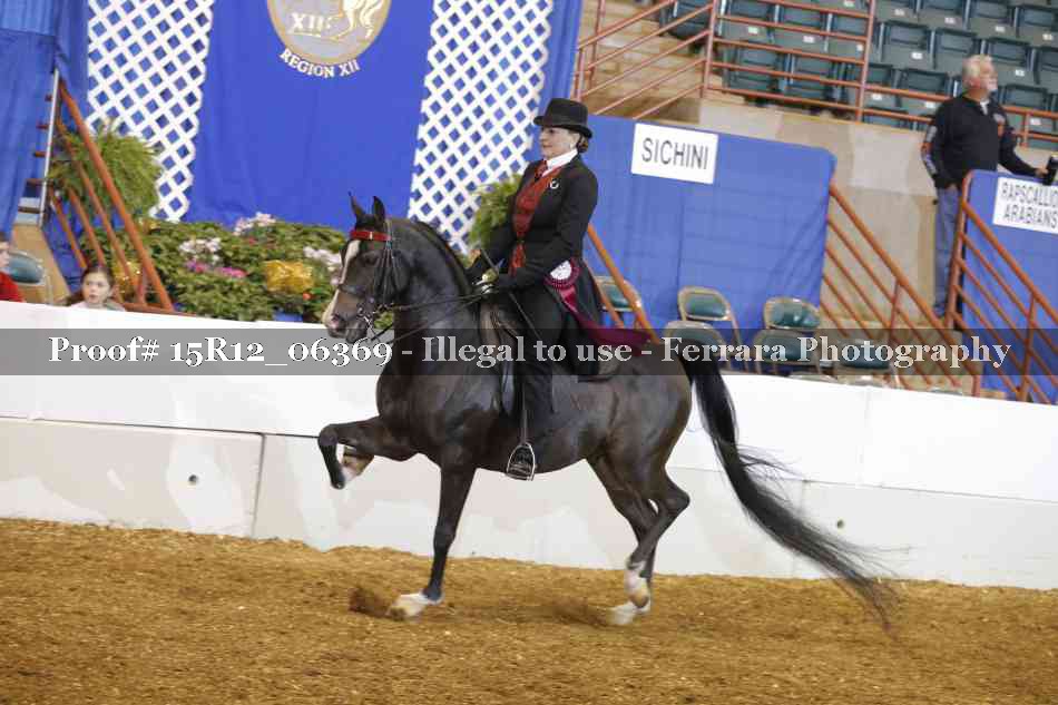 Proof Number 15R12_06369
