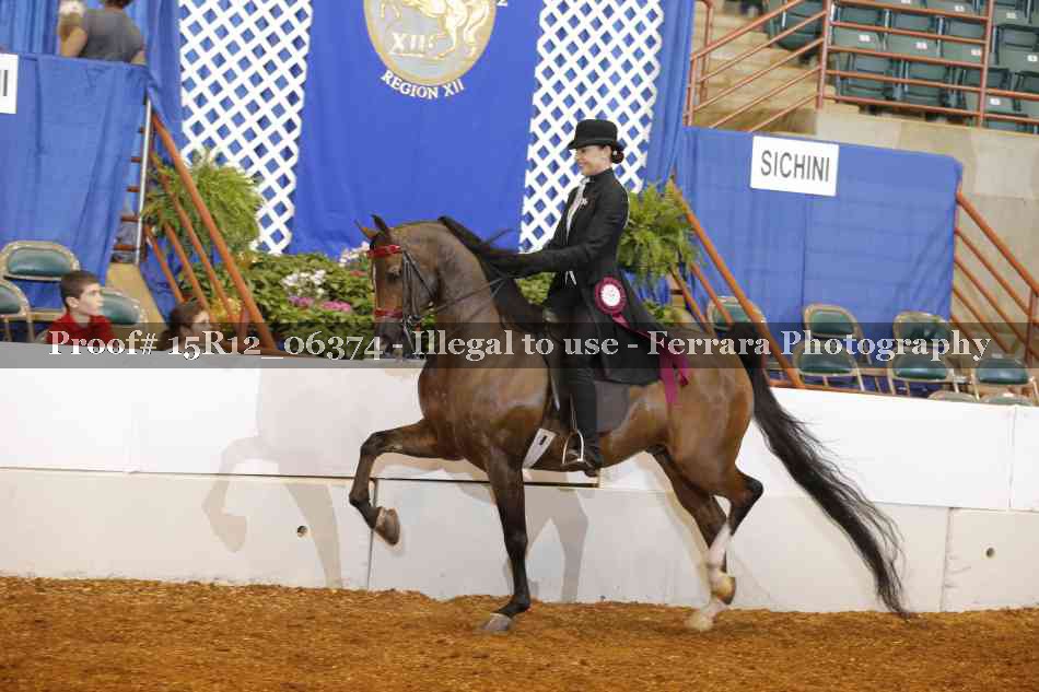 Proof Number 15R12_06374