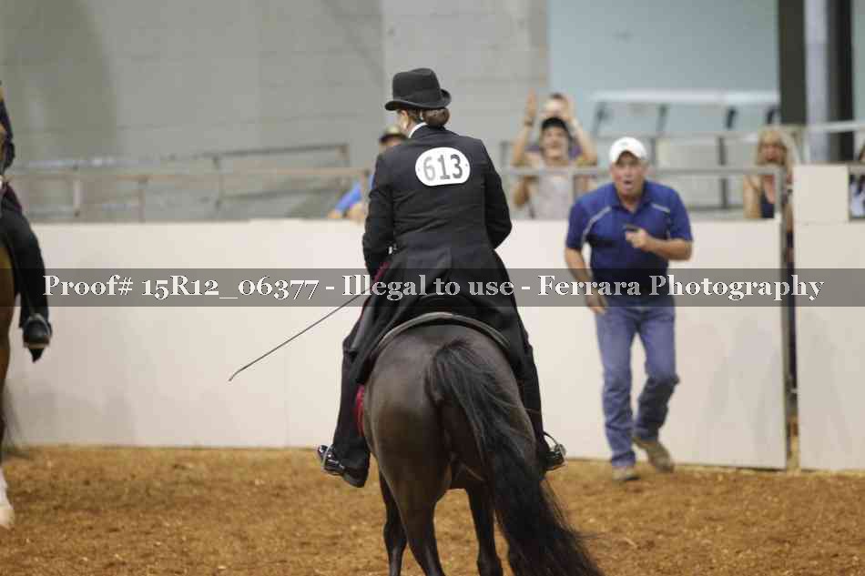 Proof Number 15R12_06377