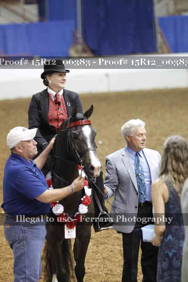 Proof Number 15R12_06383