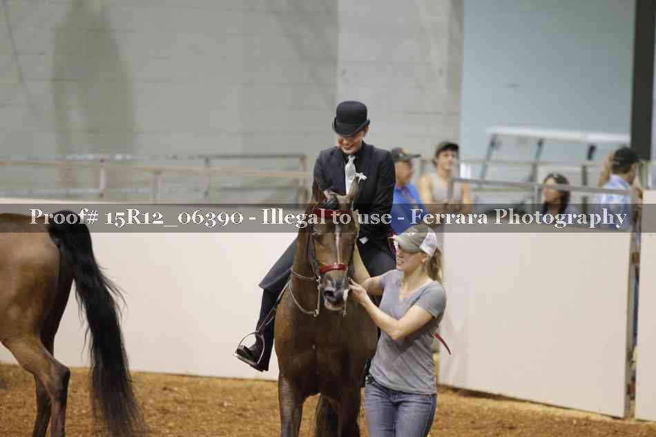 Proof Number 15R12_06390