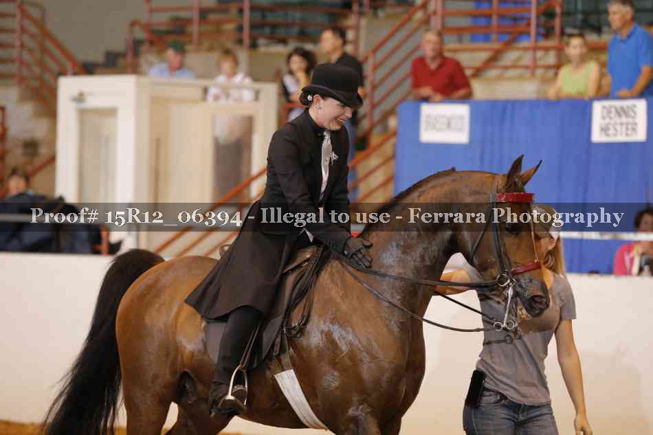 Proof Number 15R12_06394