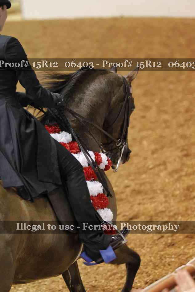 Proof Number 15R12_06403