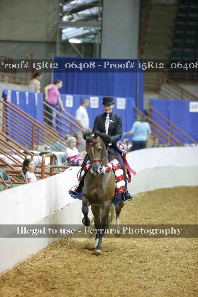 Proof Number 15R12_06408