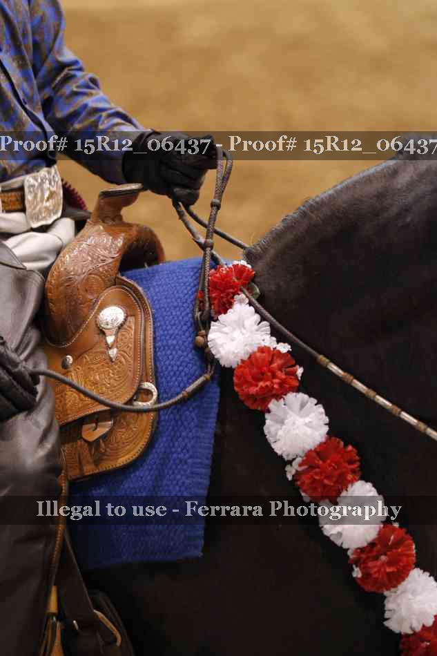 Proof Number 15R12_06437