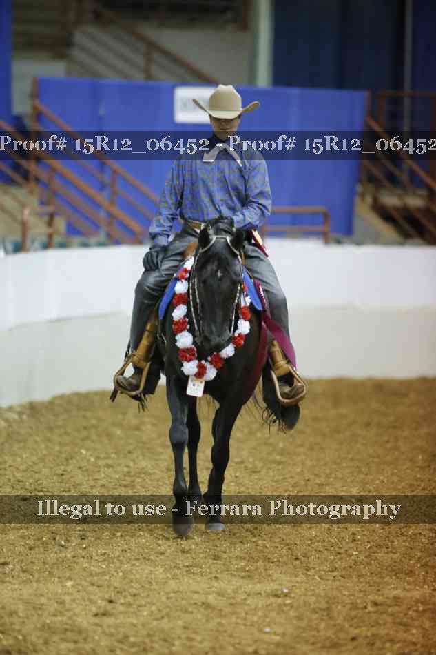 Proof Number 15R12_06452