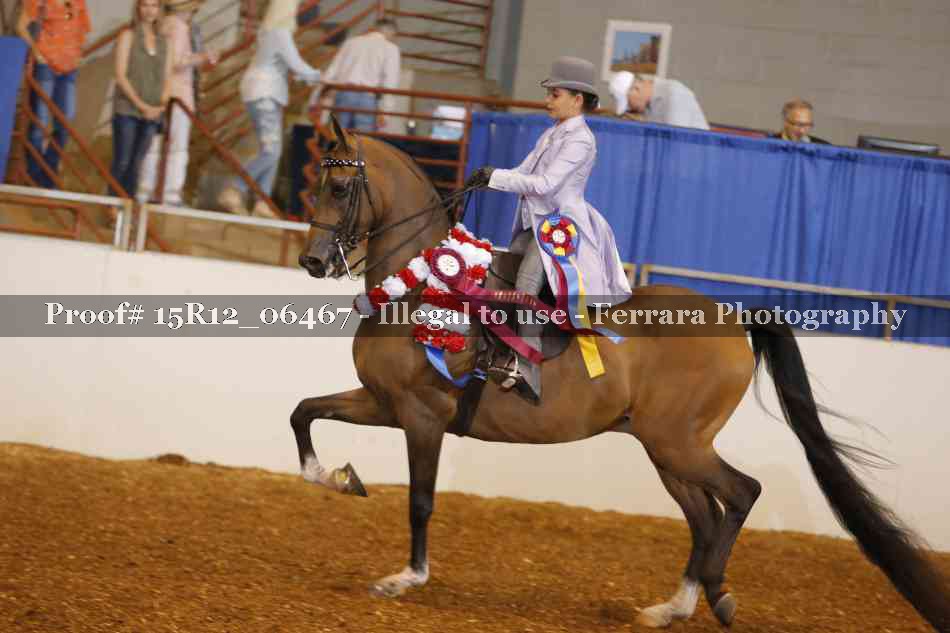 Proof Number 15R12_06467