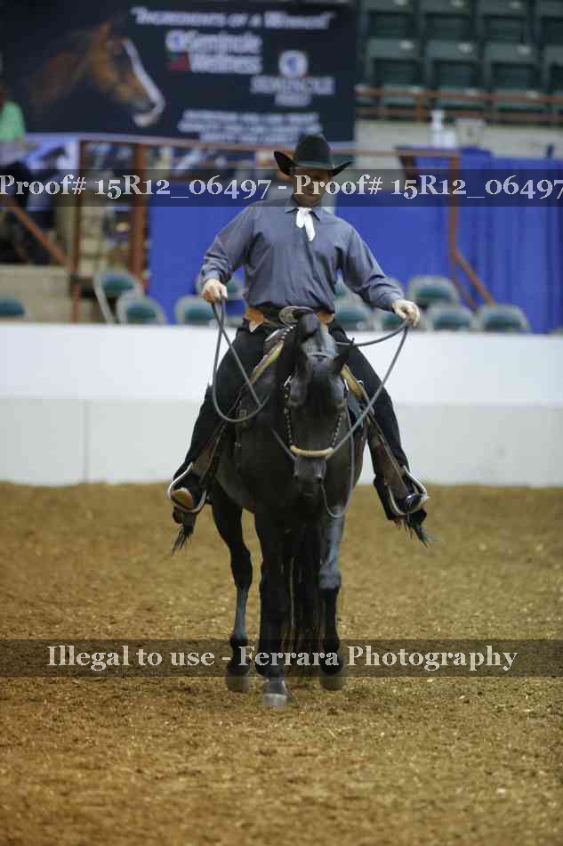 Proof Number 15R12_06497