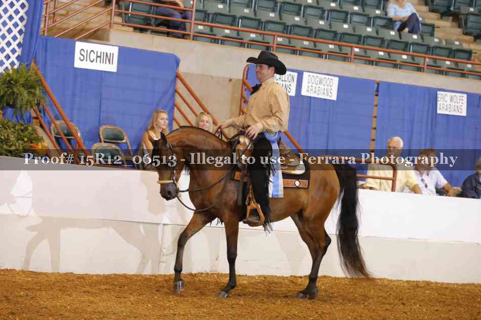 Proof Number 15R12_06513