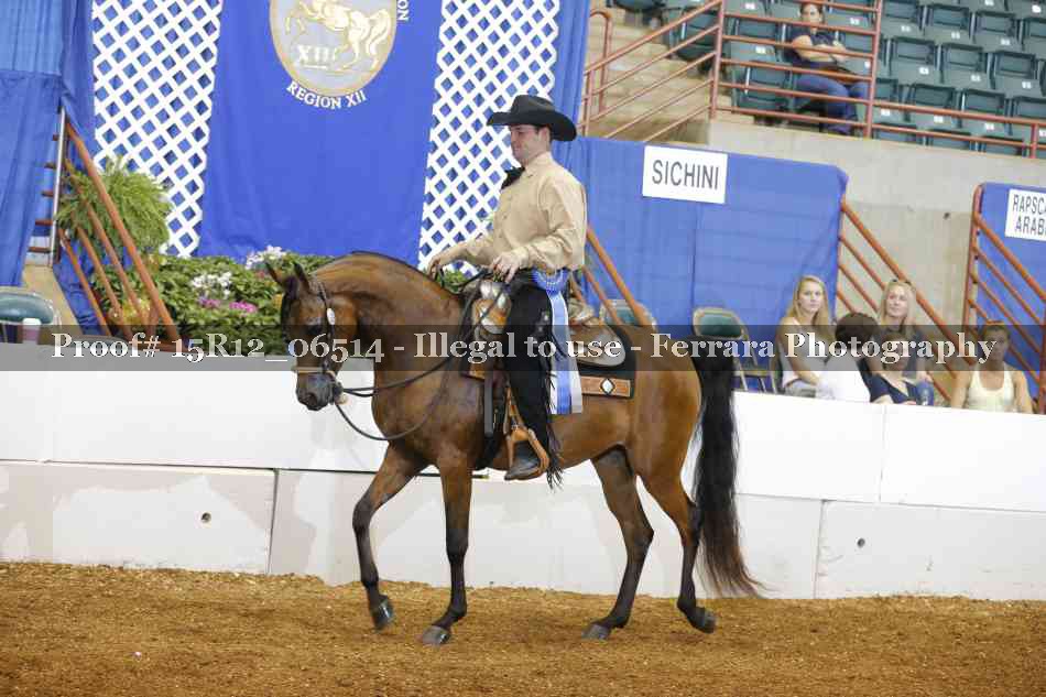 Proof Number 15R12_06514