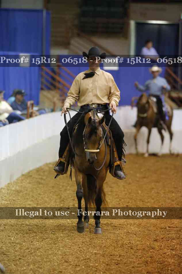 Proof Number 15R12_06518