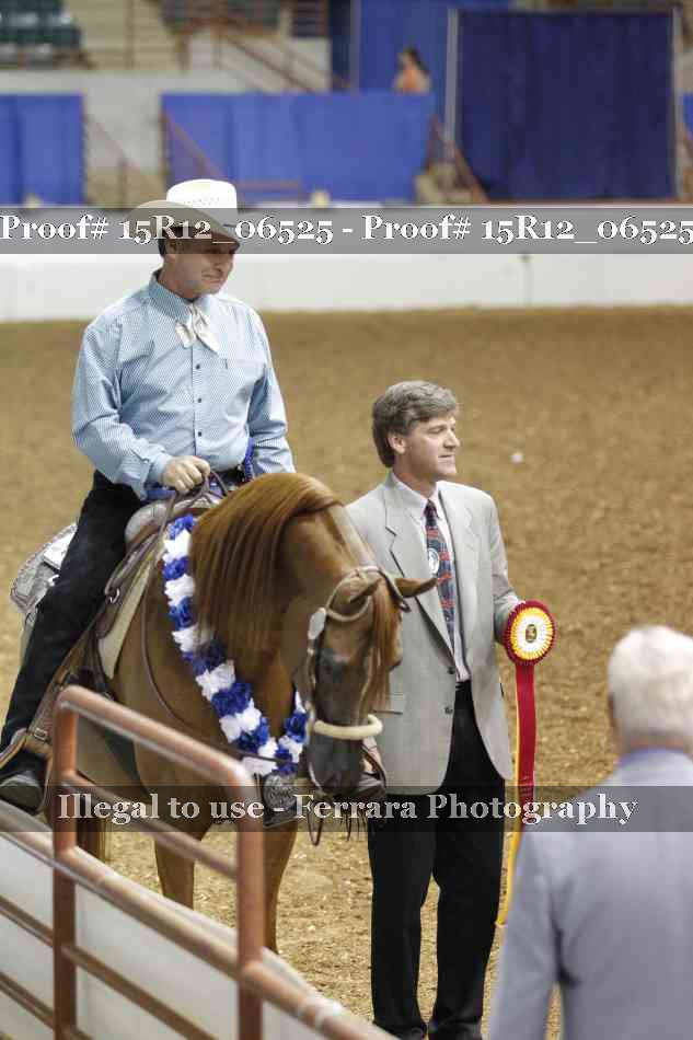 Proof Number 15R12_06525