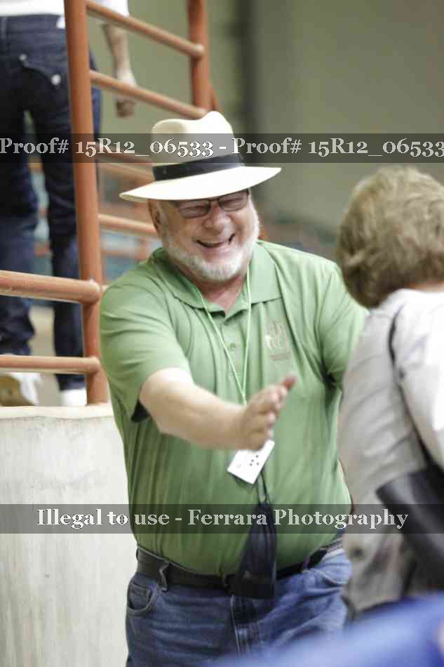 Proof Number 15R12_06533