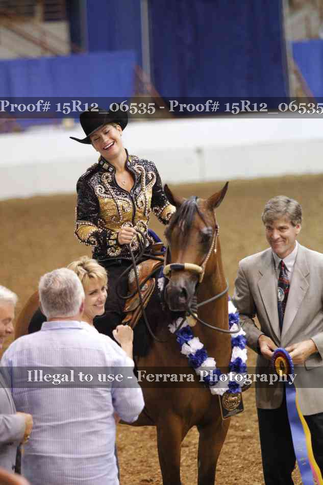 Proof Number 15R12_06535