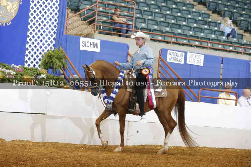 Proof Number 15R12_06551
