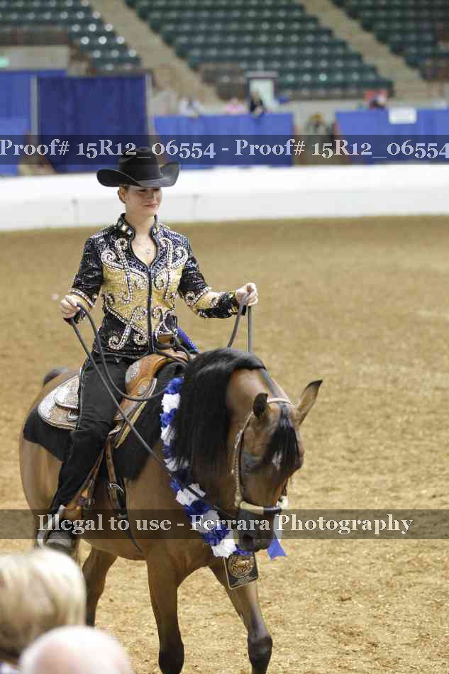 Proof Number 15R12_06554