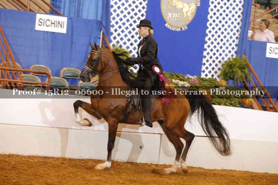 Proof Number 15R12_06600