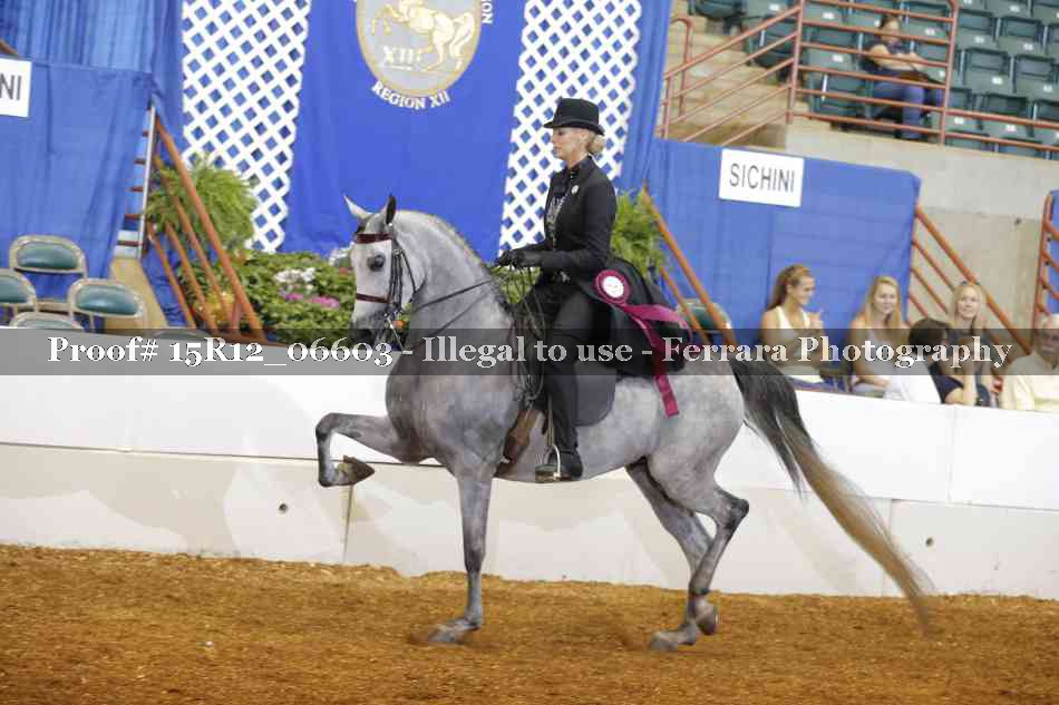 Proof Number 15R12_06603