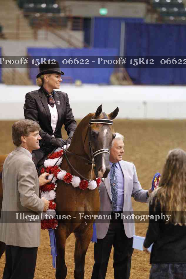 Proof Number 15R12_06622