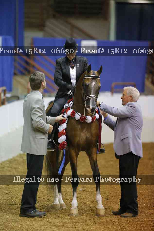 Proof Number 15R12_06630