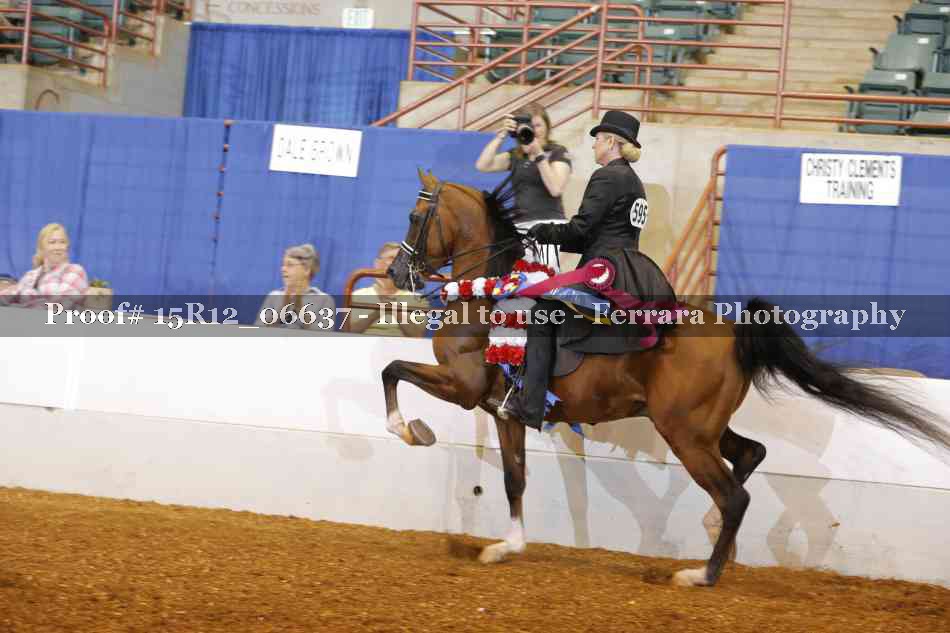 Proof Number 15R12_06637