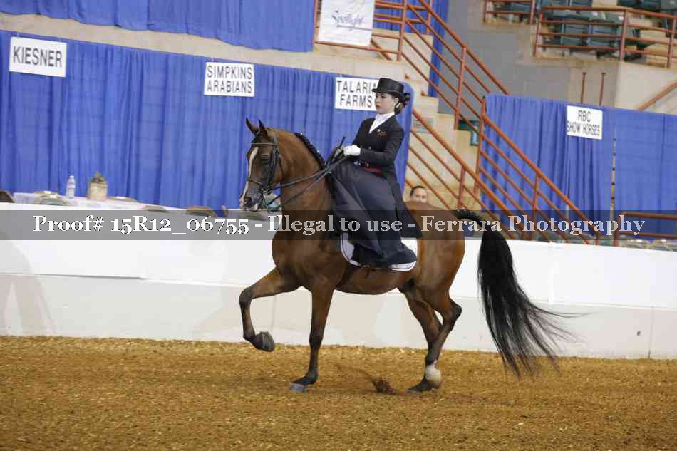Proof Number 15R12_06755