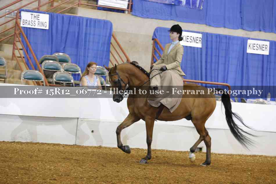 Proof Number 15R12_06772