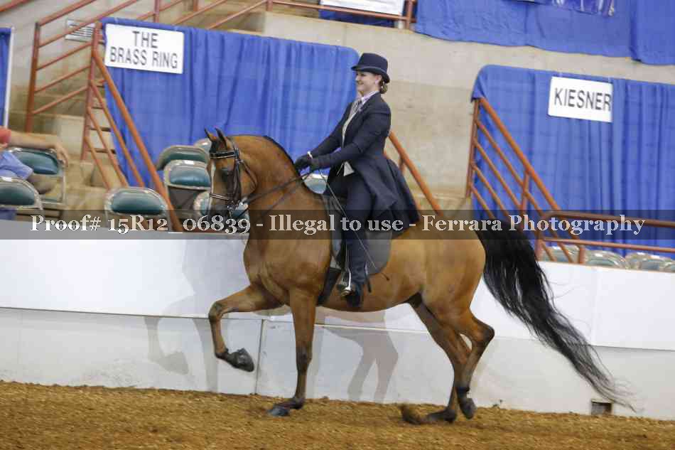 Proof Number 15R12_06839
