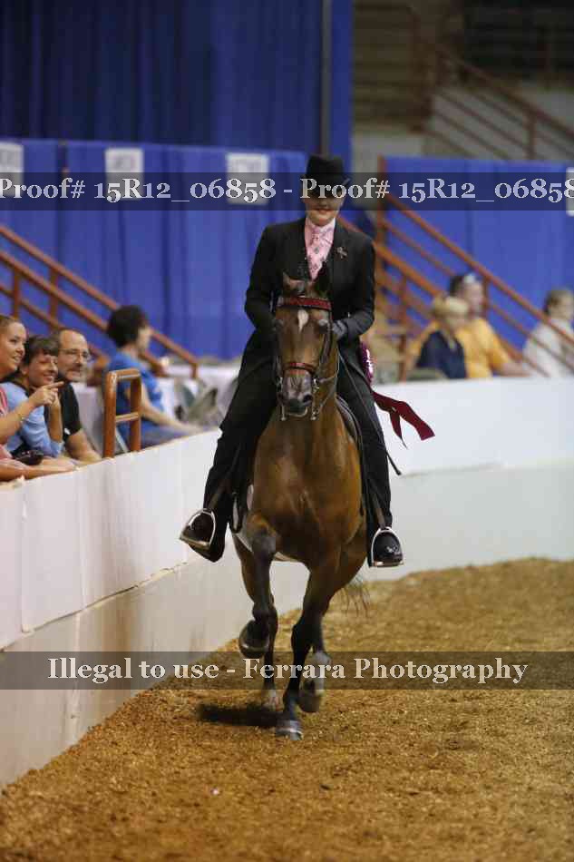 Proof Number 15R12_06858