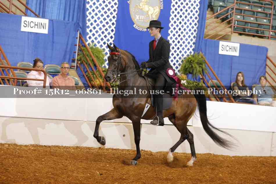 Proof Number 15R12_06861