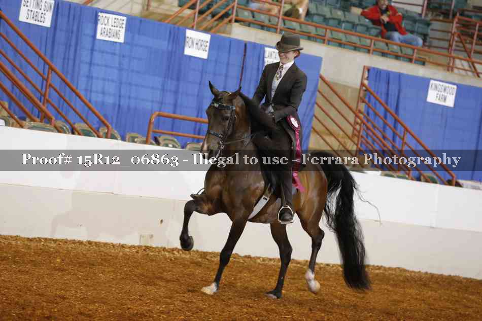 Proof Number 15R12_06863