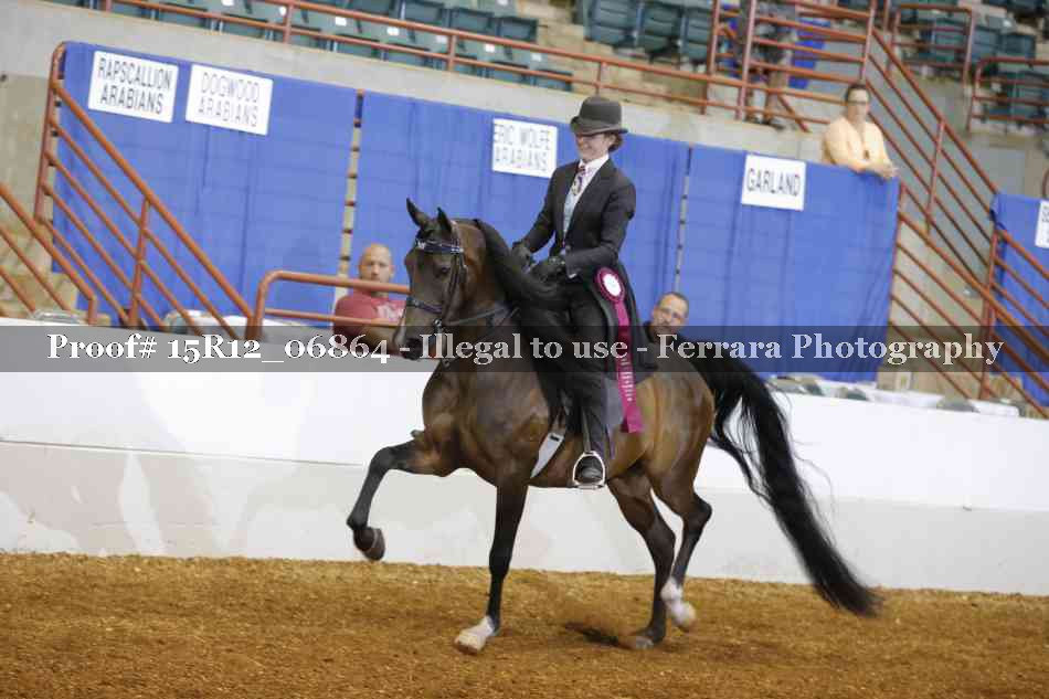 Proof Number 15R12_06864