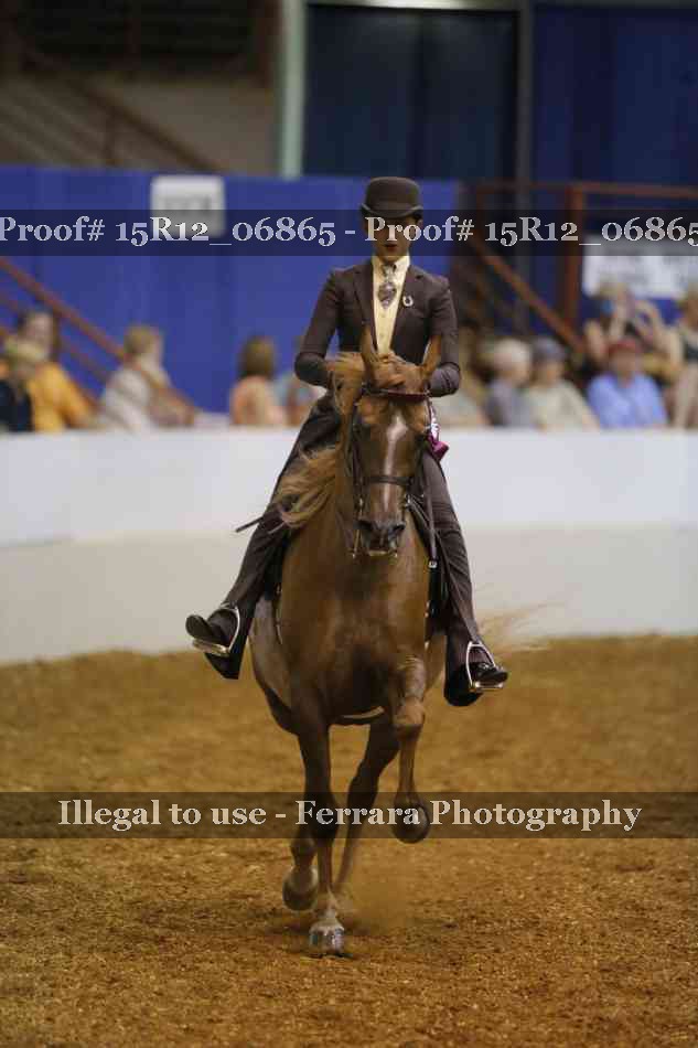 Proof Number 15R12_06865