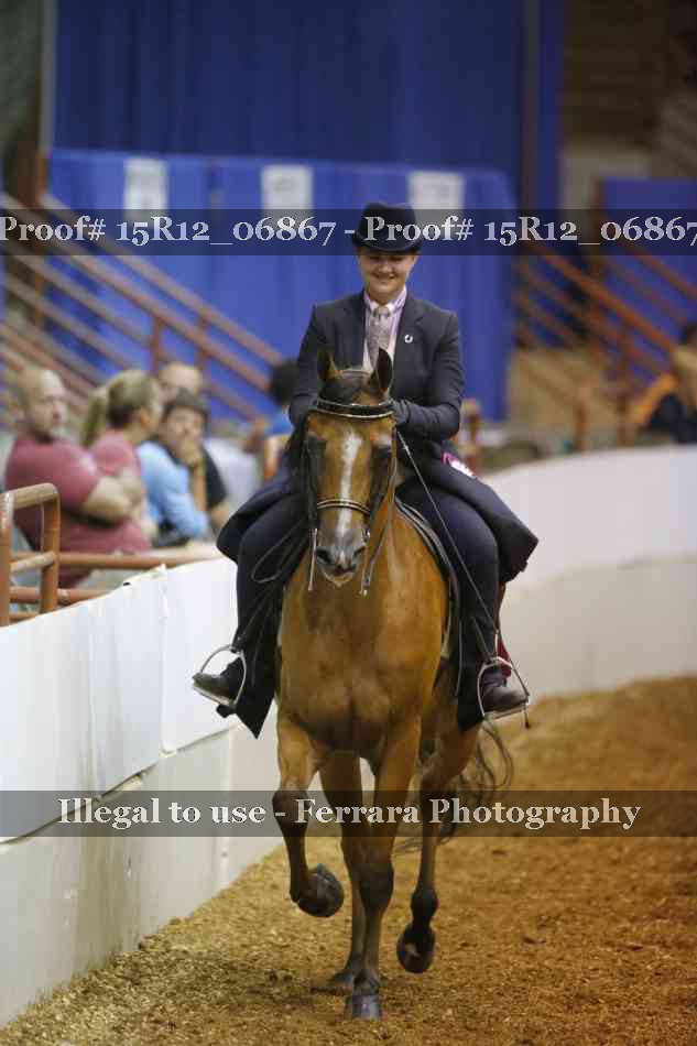 Proof Number 15R12_06867