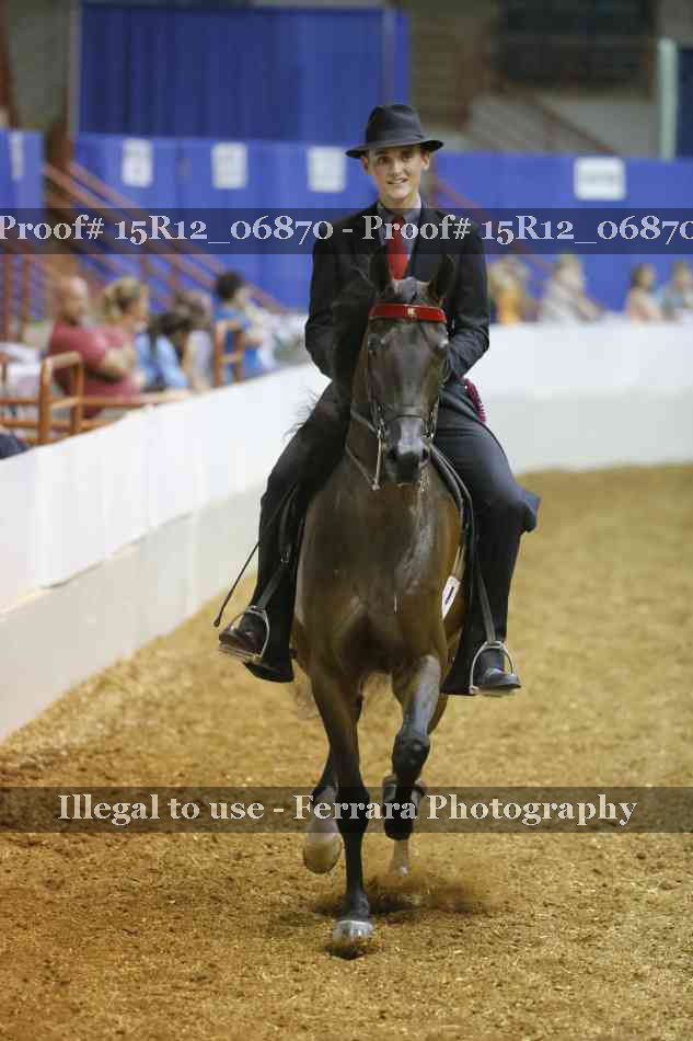 Proof Number 15R12_06870