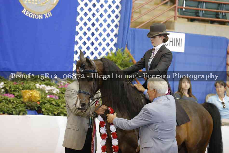 Proof Number 15R12_06872