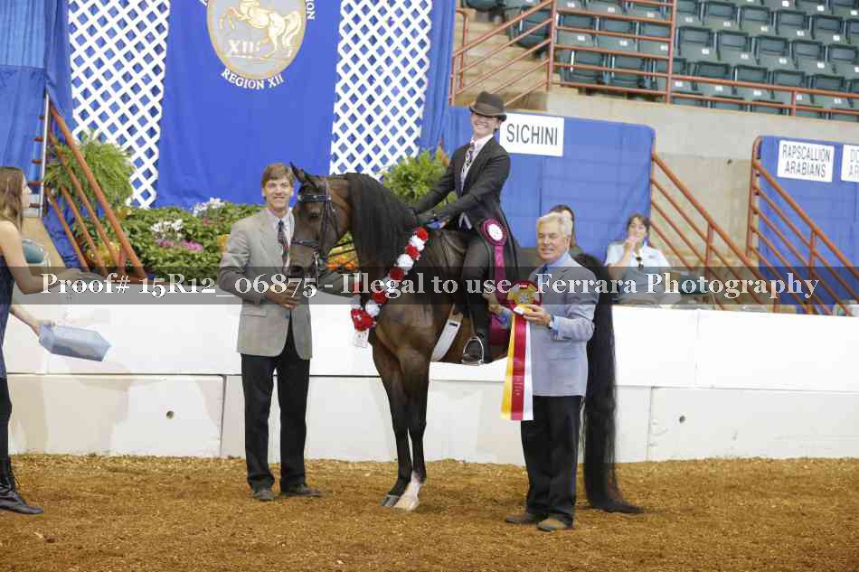 Proof Number 15R12_06875