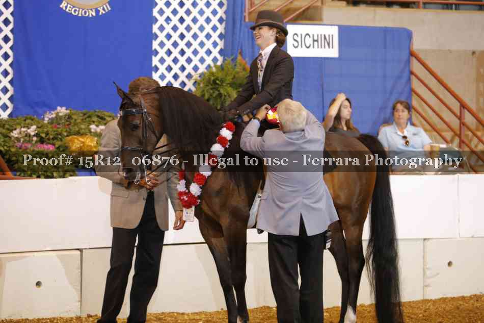 Proof Number 15R12_06876