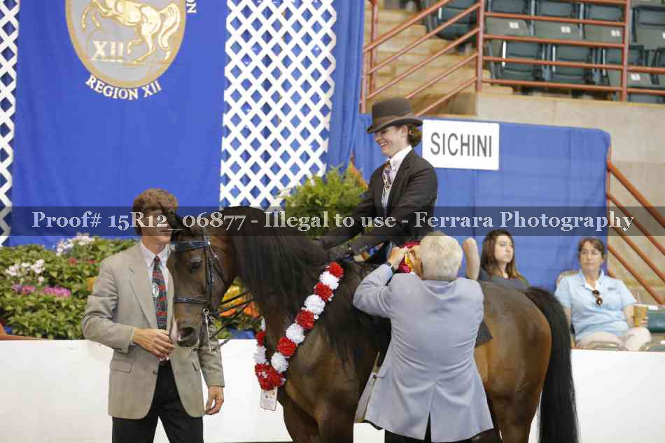 Proof Number 15R12_06877