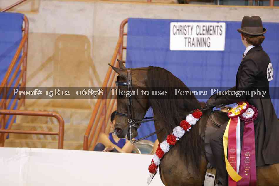Proof Number 15R12_06878