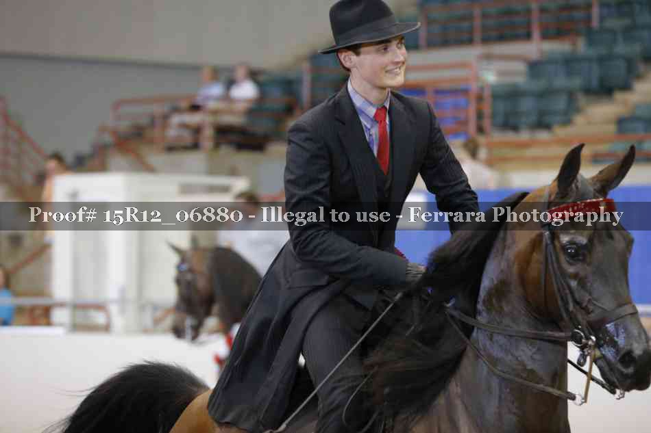 Proof Number 15R12_06880