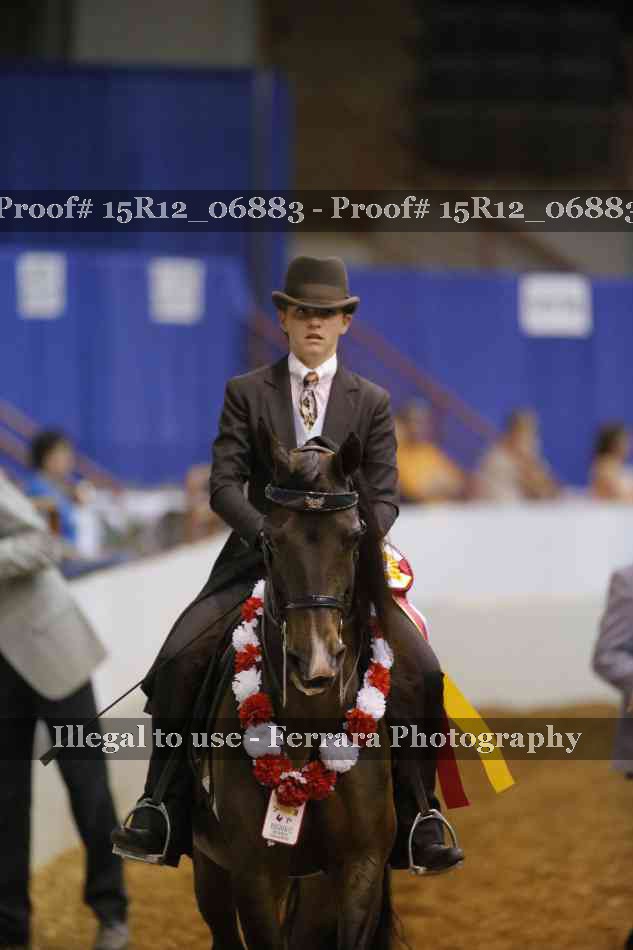 Proof Number 15R12_06883