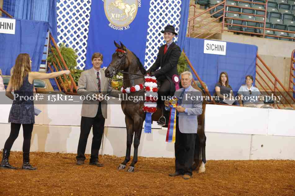 Proof Number 15R12_06886