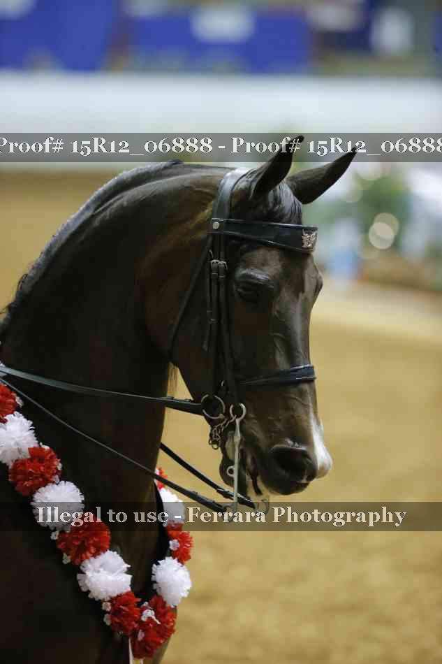 Proof Number 15R12_06888