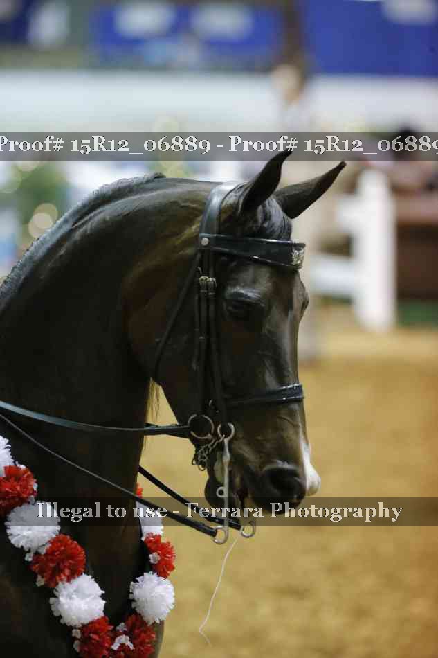Proof Number 15R12_06889