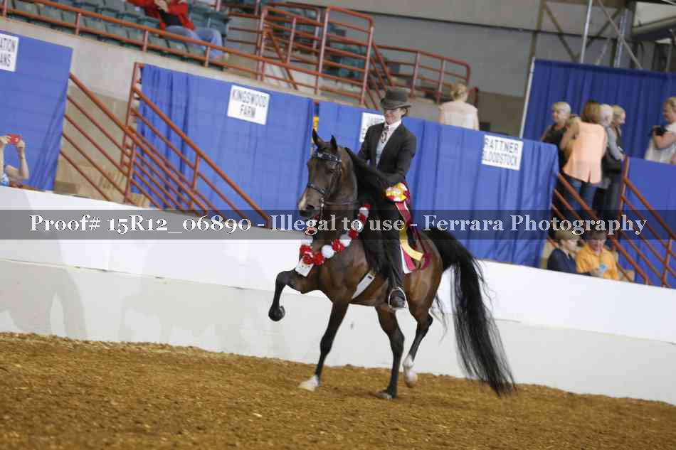 Proof Number 15R12_06890