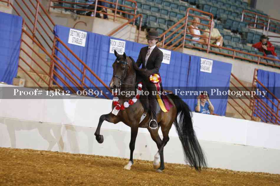 Proof Number 15R12_06891