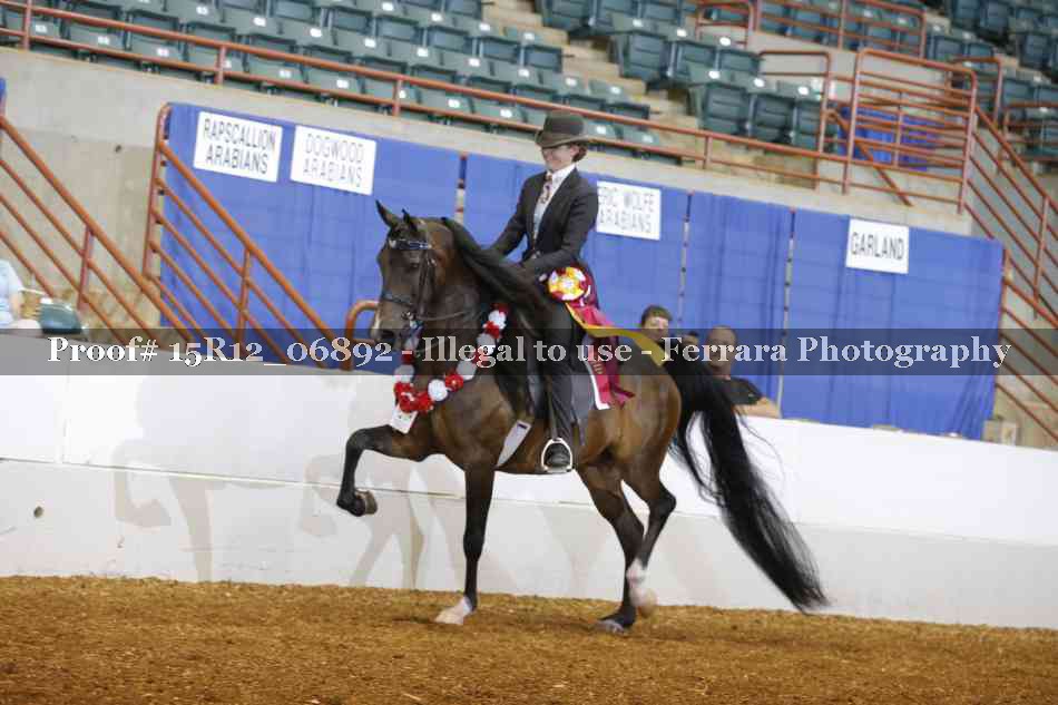 Proof Number 15R12_06892