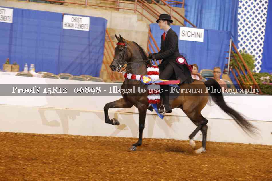 Proof Number 15R12_06898
